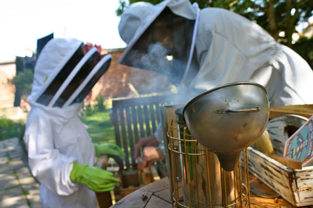 louis and mrs fox with bees beekeepers bees
