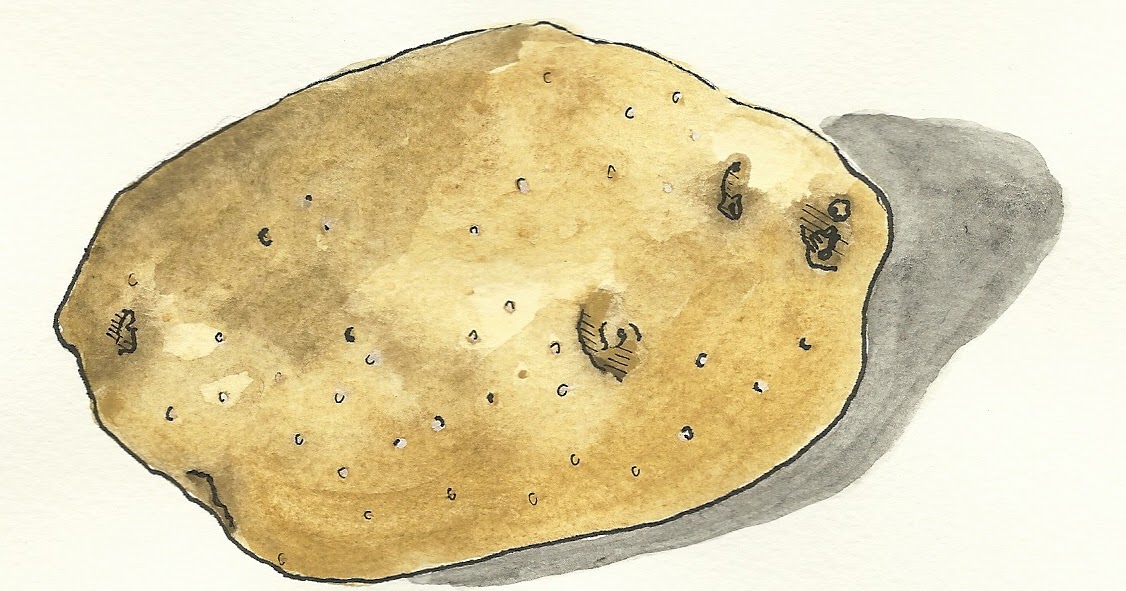 Multiple Chemical Survivor Pain, Potatoes and Positivity