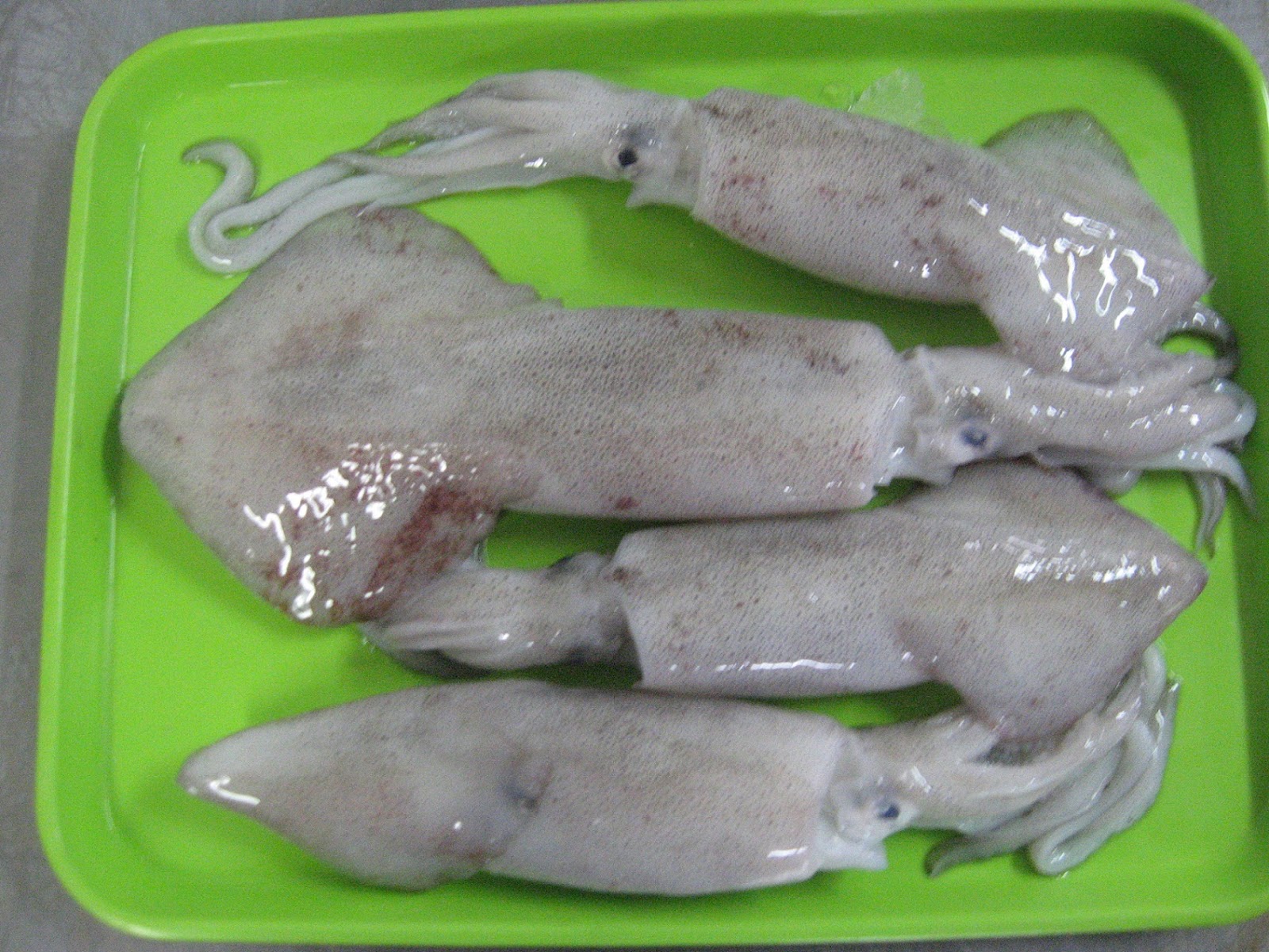Butterworth Seafoods WHITE SQUID / LOLIGO SQUID INDIAN ORIGIN