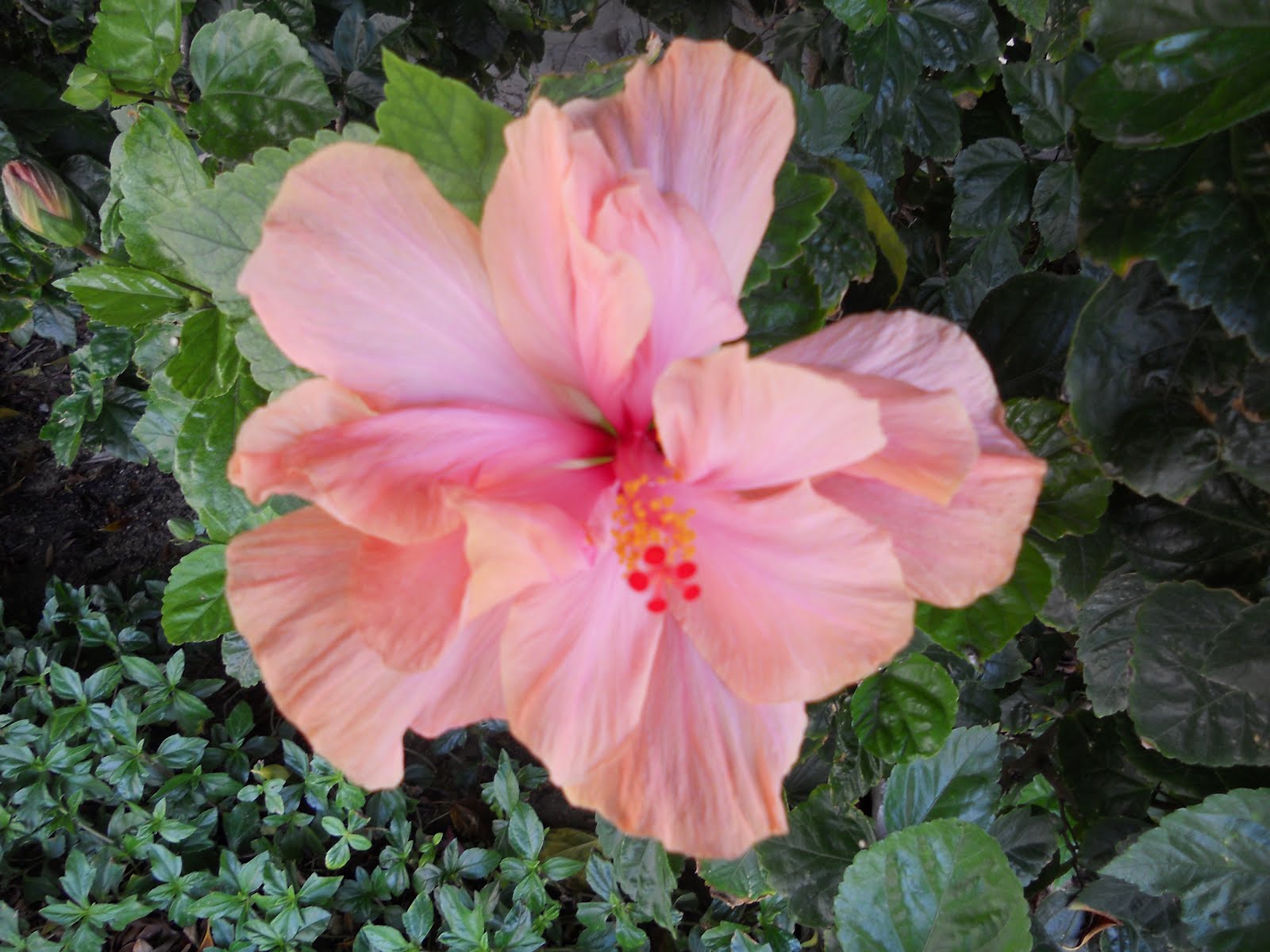 Searching for a Destination Unknown: February 2012