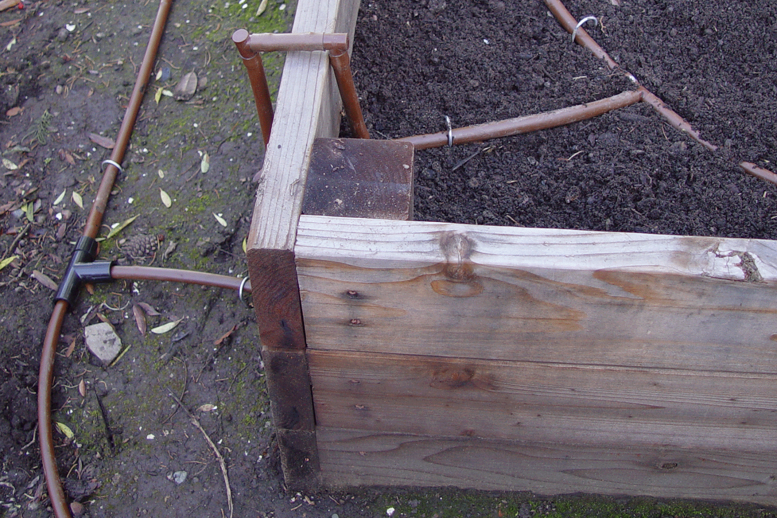 Eden By The Bay Adding Drip Irrigation to the Raised Bed