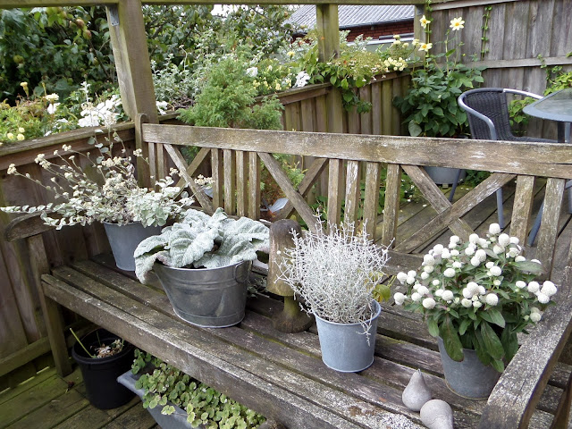 Heidis have: august 2015