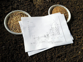 Il ciclo del grano: dal "pezzo di carta" alla realtà Il ciclo del grano: dal "pezzo di carta" alla realtà