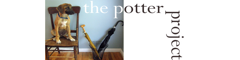 The Potter Project