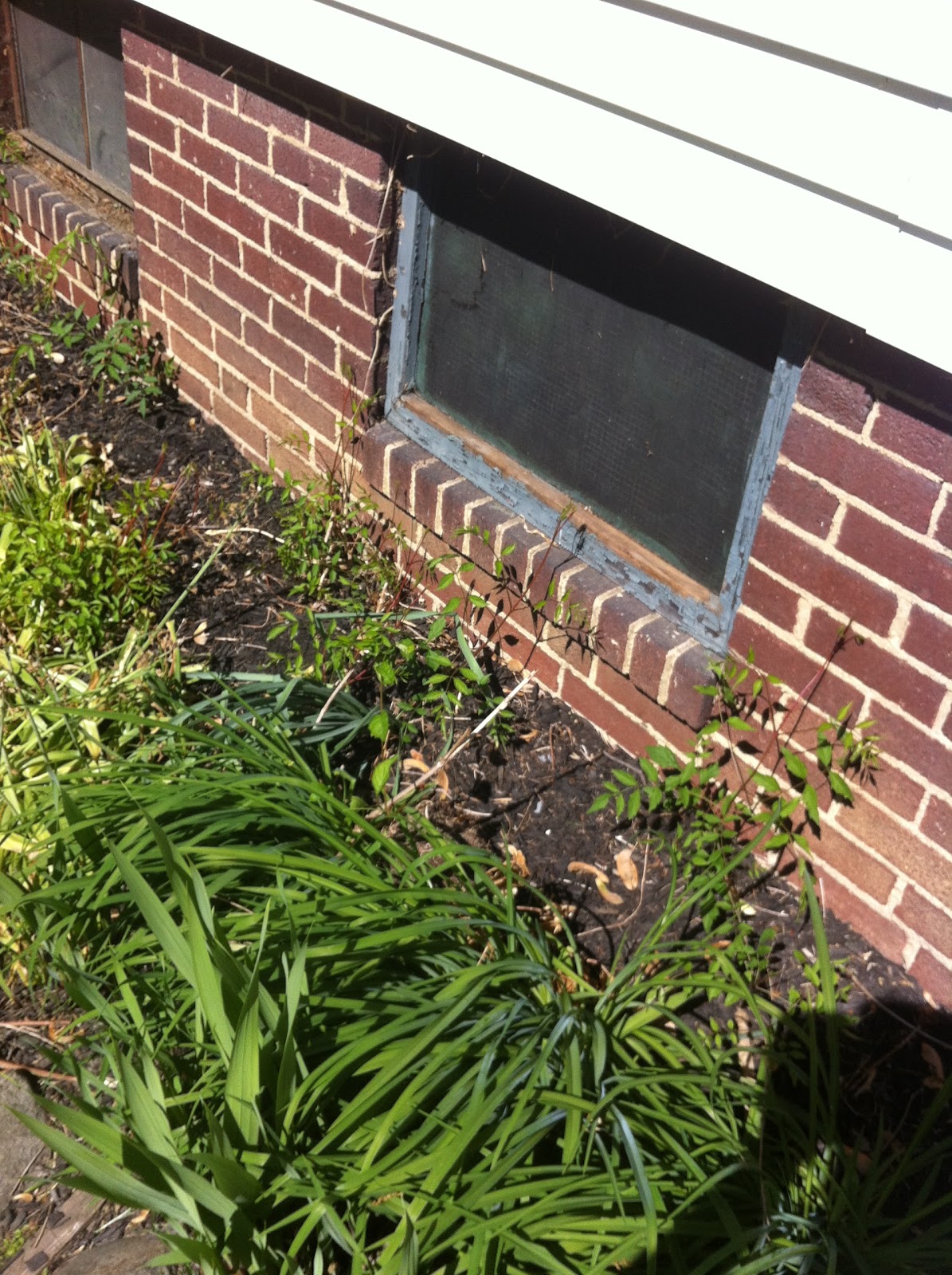 Our 'New' To Us 1910 Foursquare Home DIY basement window screens