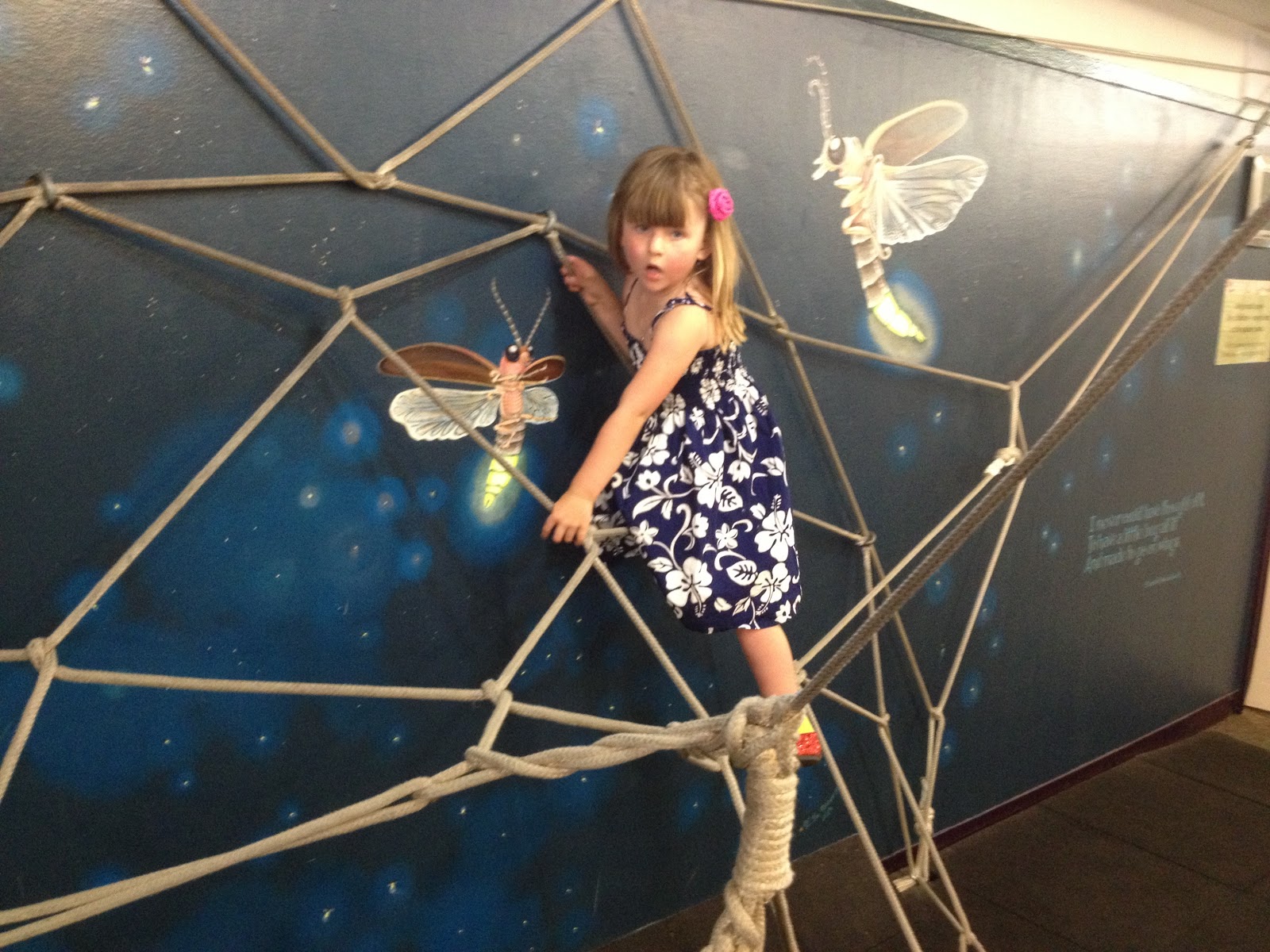 ihickson: Palo Alto Junior Museum