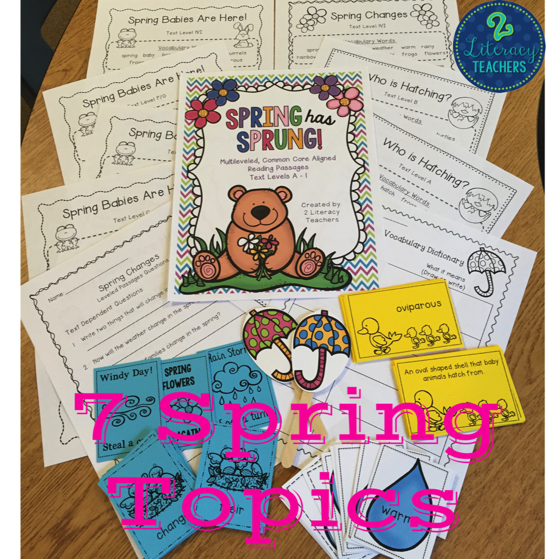 2 Literacy Teachers Spring has Sprung!