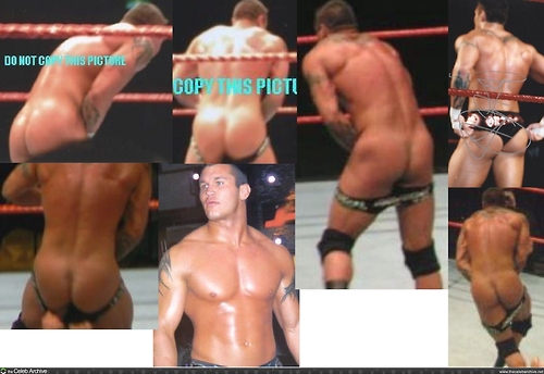 Randy orton sexy-adult archive.