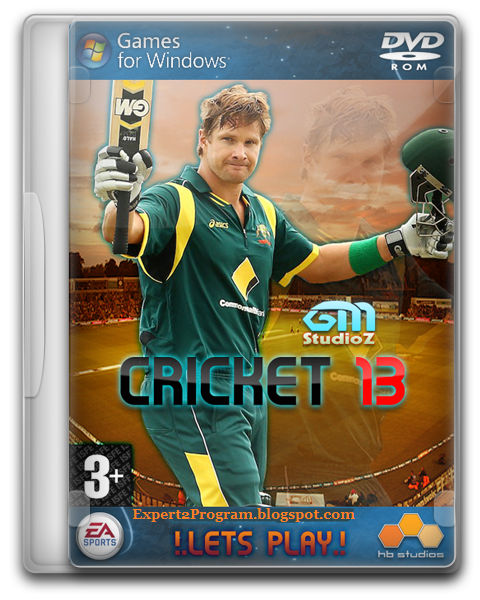 pc for cricket game