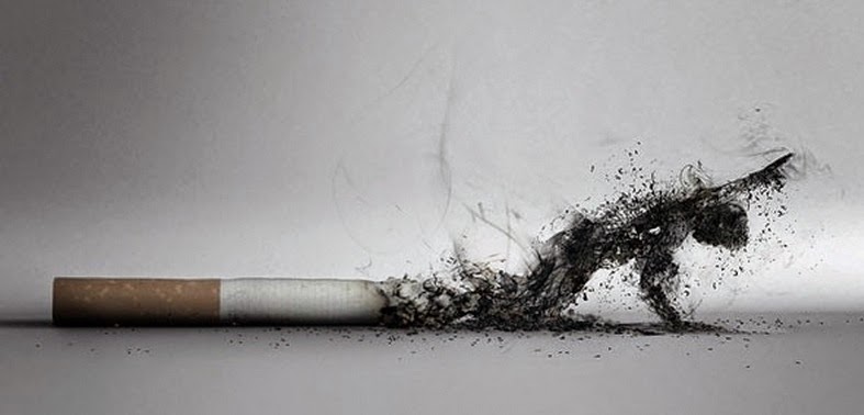 Istruzione zerosmoke magneti