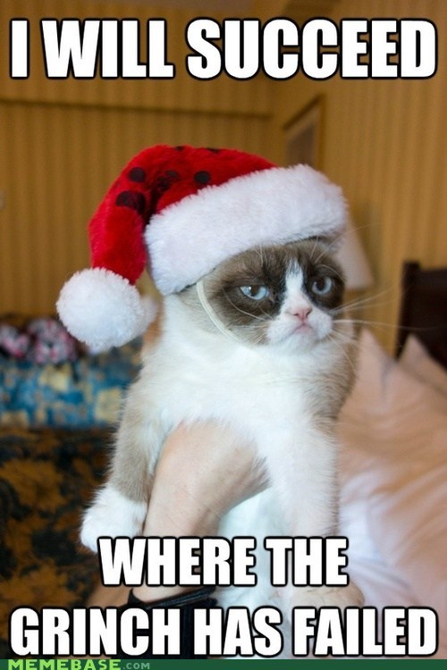 She Who Seeks Time for a Grumpy Cat Fix!