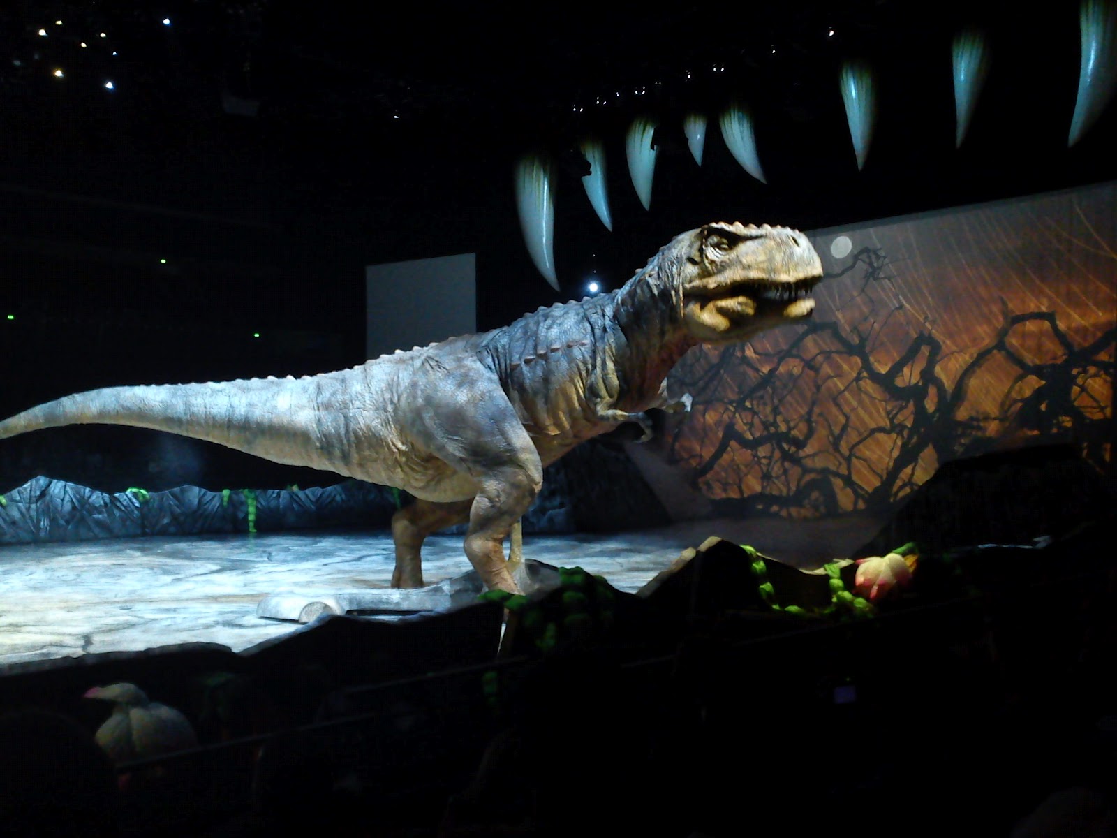 Varettas How To Train Your Dragon Arena Spectacular