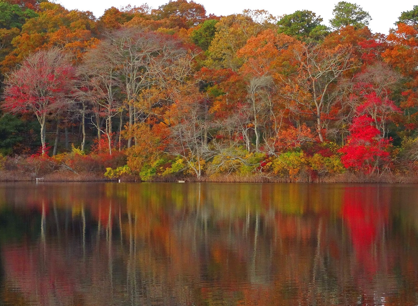 Joe's Retirement Blog Rabbit Pond, Manomet, Plymouth, Massachusetts, USA