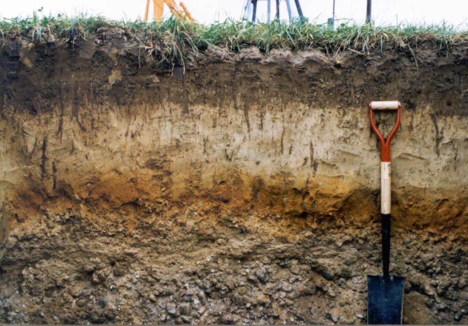 Soil'S Secret Life: Bridging Earth'S 4 Spheres - gkiy8rc