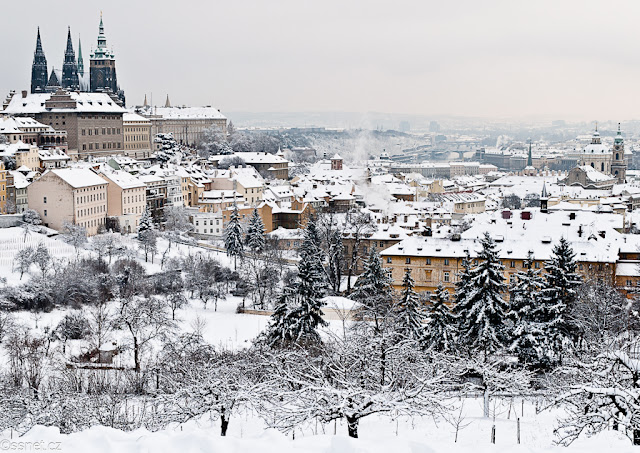 Prague Winter