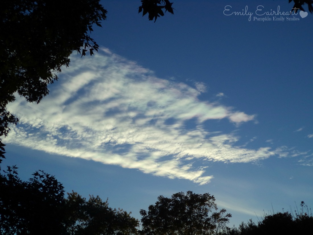 Clouds that look like a alligator wearing a hat.