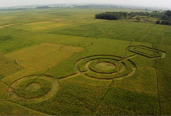 Crop Circle In Cikarang, Bekasi - the facemash post