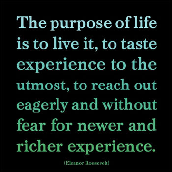 college life quotes. college quotes about college. college life quotes. college