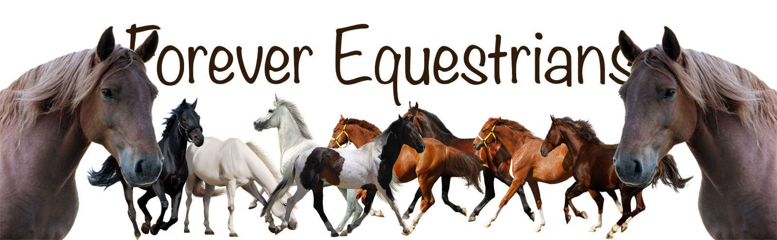 Forever Equestrians