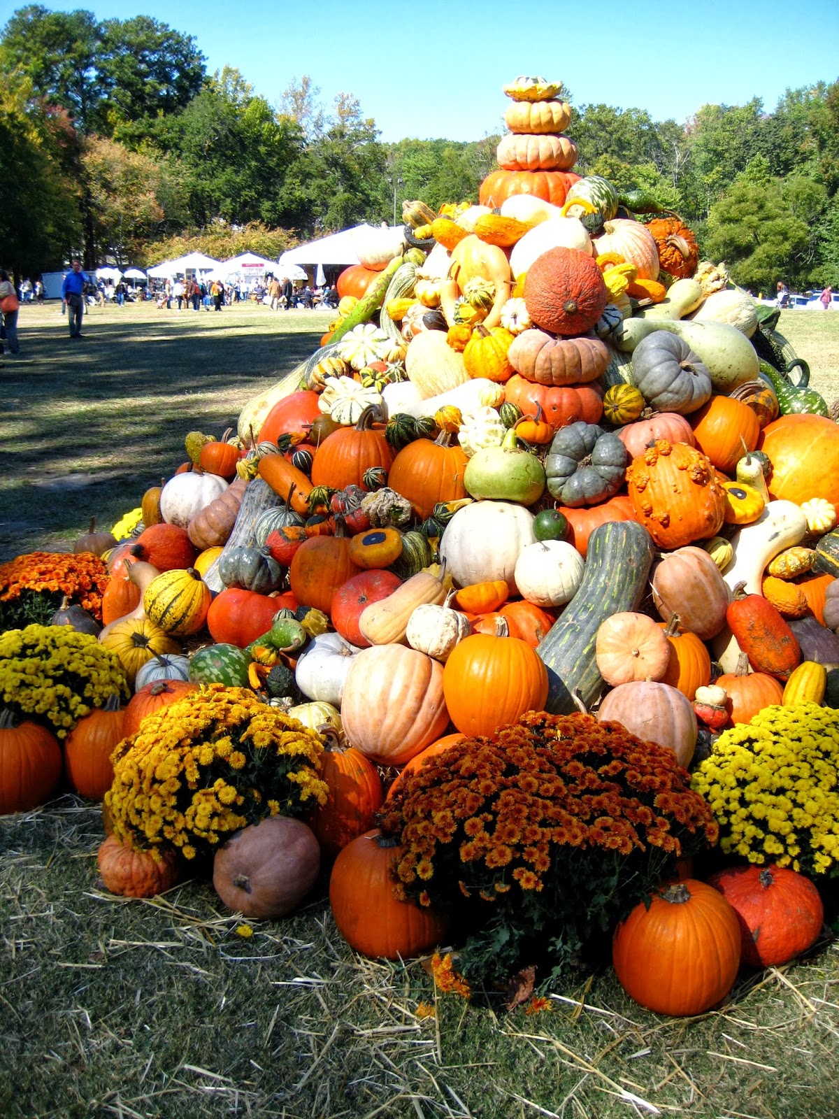 IRON & TWINE Country Living Fair Atlanta