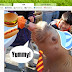 Google closing Picnik, along with a number of other services