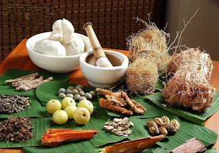 Foods that increase height growth and body Foods that increase height growth and body