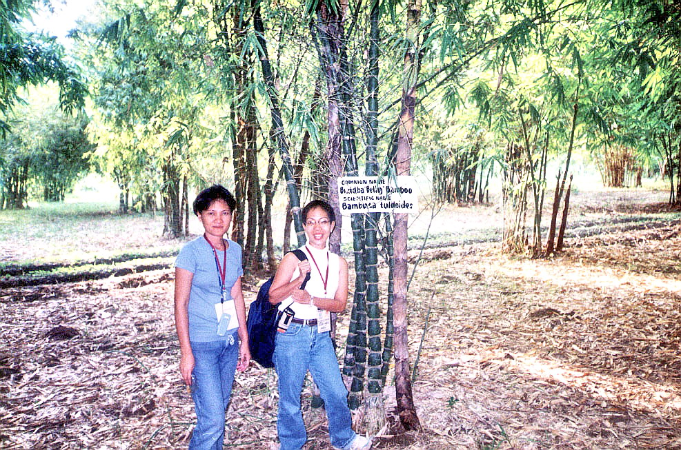 Bambusetum (Gloria, Mindoro Oriental) B.L.A.S.T. Live Life to the Fullest ……… Don't Stay Put