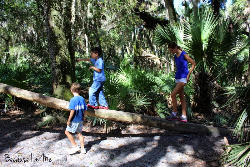 Family camping and exploring at Myakka River State Park, Florida