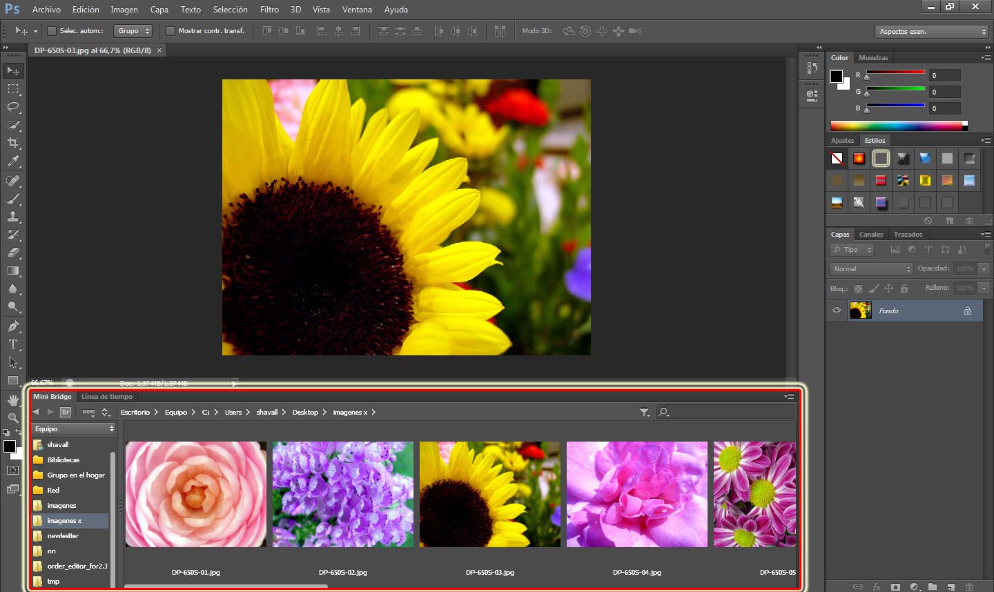 video curso cursos photoshop cs6 