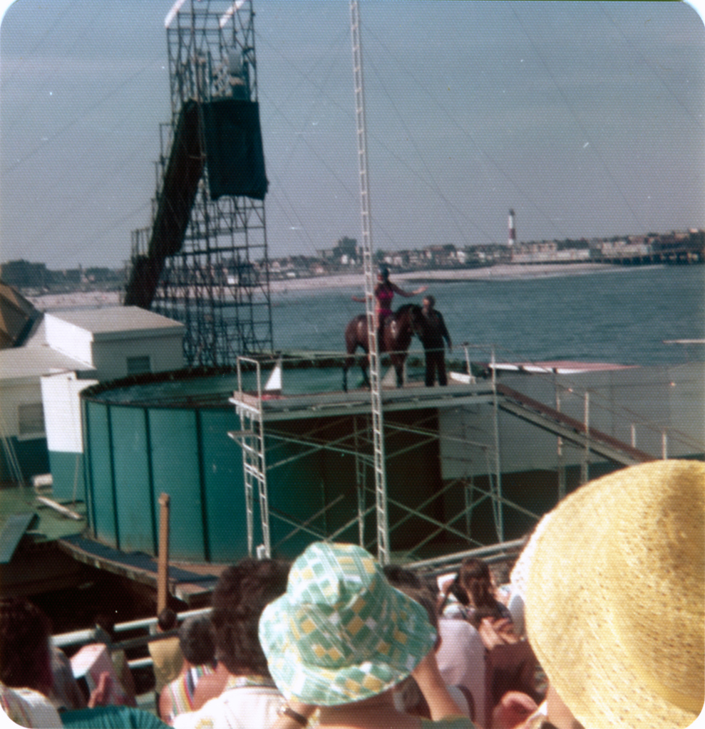 The Circus "NO SPIN ZONE" Atlantic City/Steel Pier Diving Horses