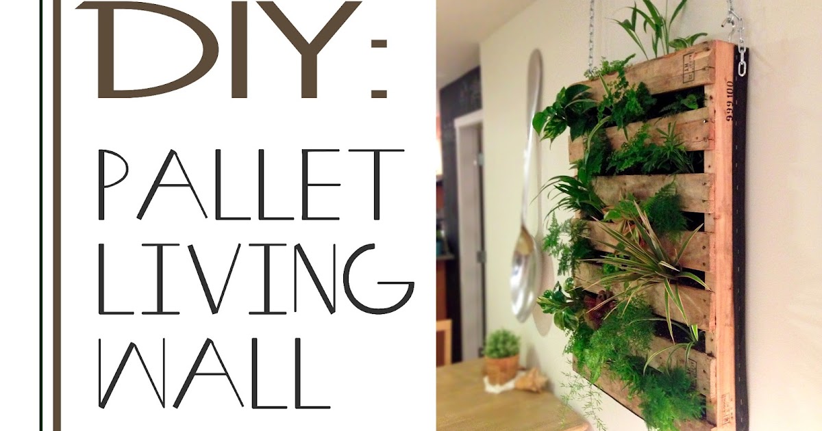 The Brew : DIY Pallet Living Wall