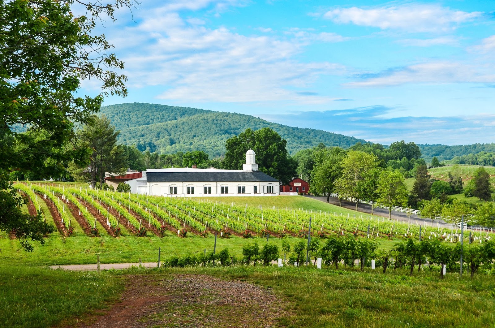 IRON & TWINE Barboursville, Virginia