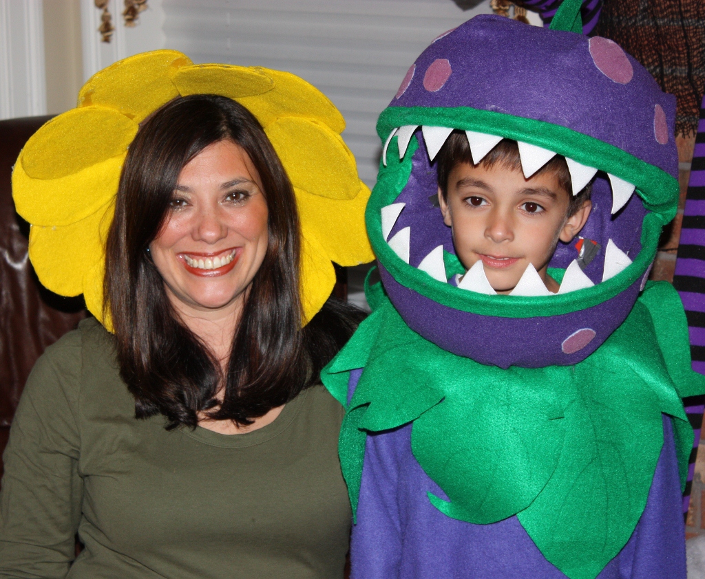 The Memory Nest Plants Vs Zombies Costumes Continued