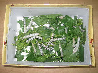 EN UN PAÍS MULTICOLOR: abril 2012