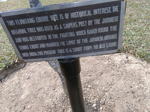 Literature on historic sapling in Kohima war cemetery.