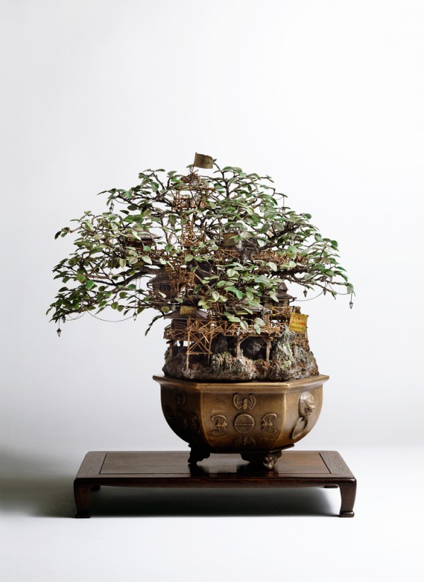 SmileCampus - Bonsai Tree Houses