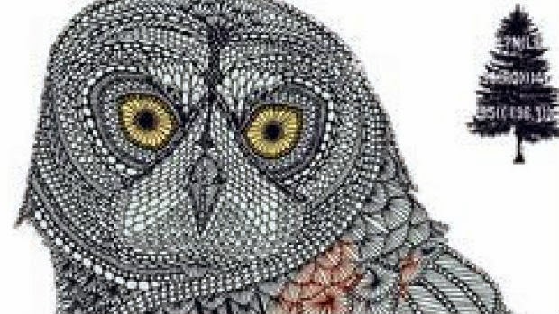 superintelligence-owl.jpg