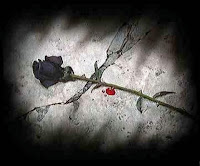 Frases de Amor, Frases de Carinho, Mensagem de Amor, Alfred Tennyson, Possível, Tristeza, Dor, Amor, Frases de Amor, Frases de Carinho, Mensagem de Amor, Alfred Tennyson, Possível, Tristeza, Dor, Amor,