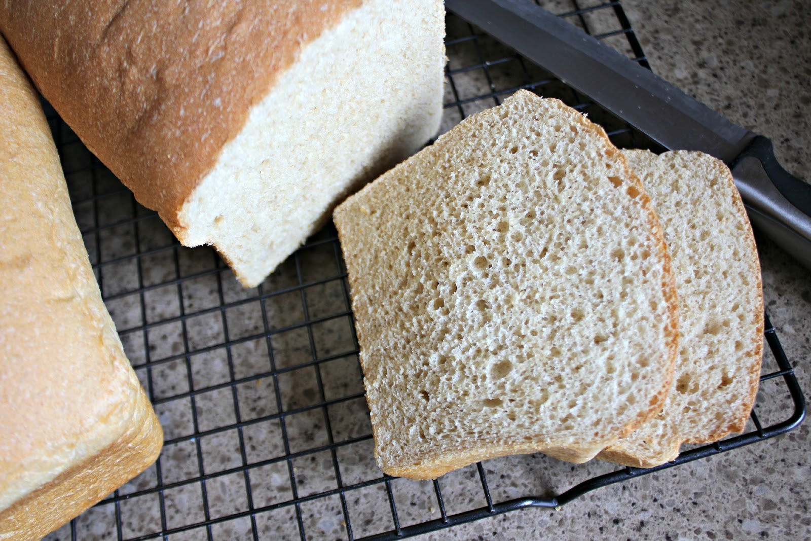What Bread Will Mold Faster White Research Paper Academic Service