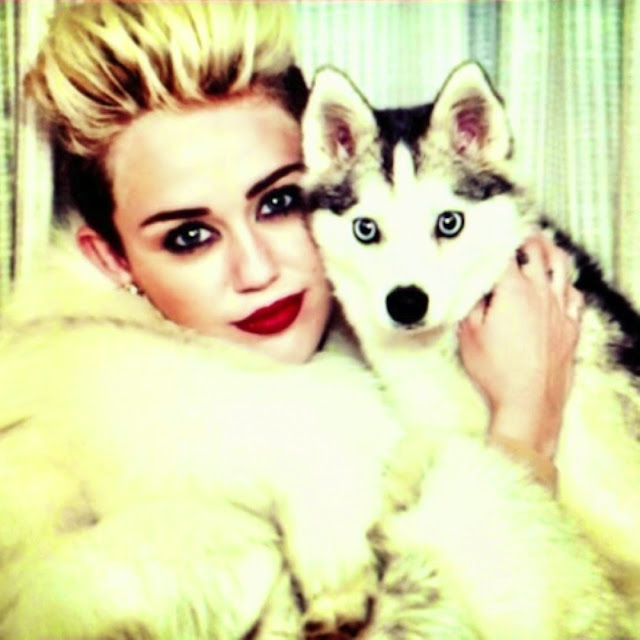 Miley cyrus e snoop dogg