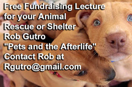 Attn Animal Rescues- I Will Give a free (on-line, too) Fundraising Lecture for you!