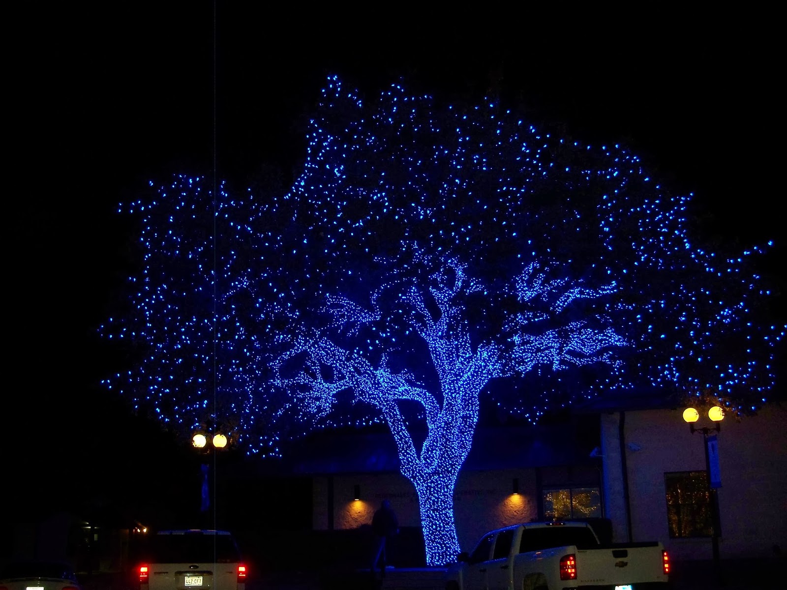 The Road Hill Country Christmas
