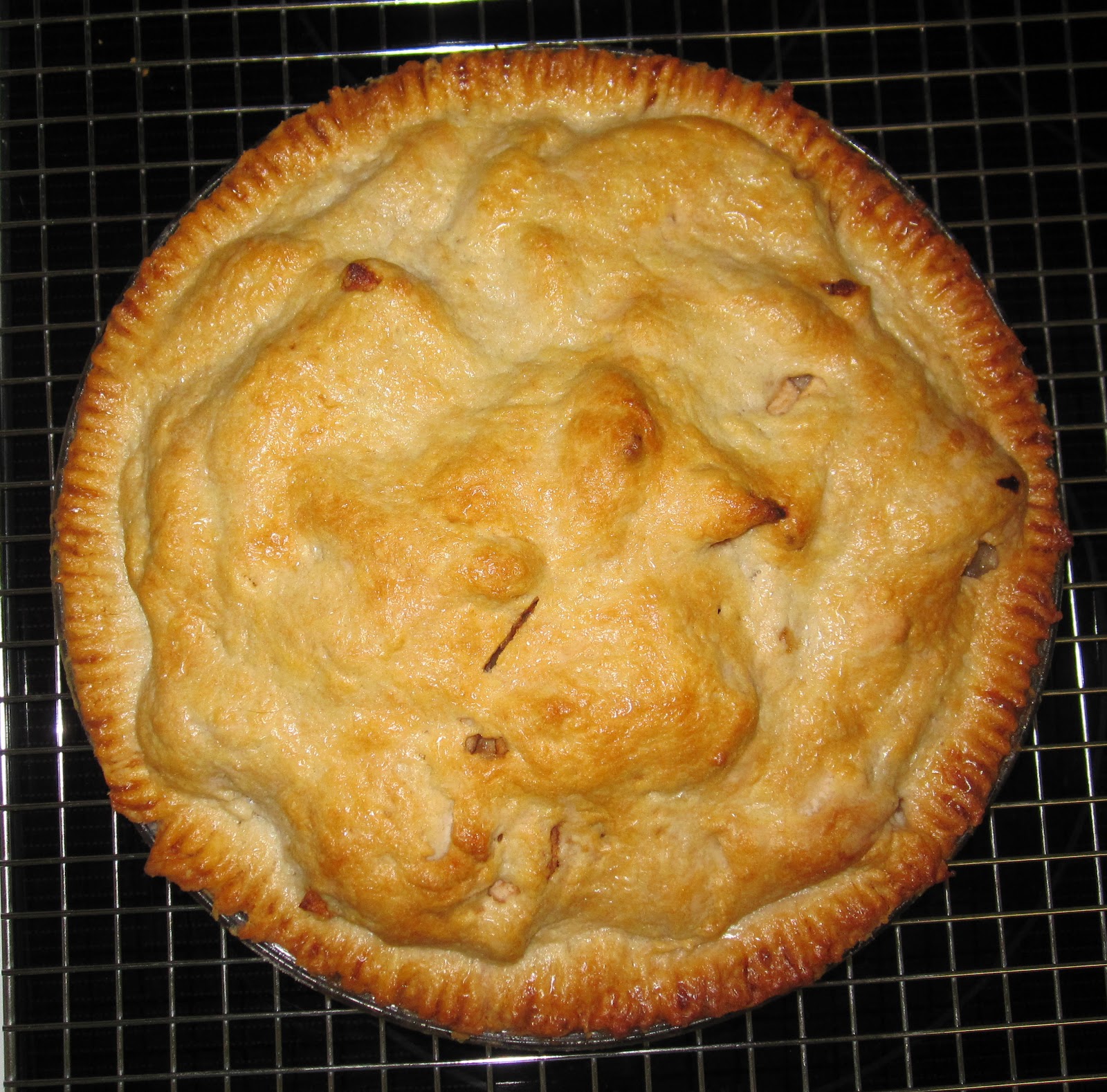 Learning To Make Pies Apple Pie (A little runny.)