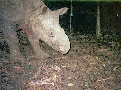 7wolu.blogspot.com