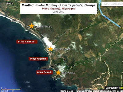 Locations of howler Monkeys in Playa Gigante