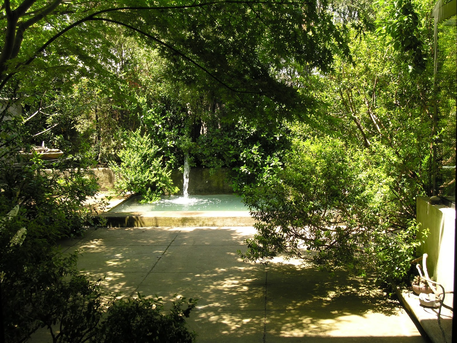 PAISAJISMO EN CHILE: 2) ¿Cuál es el jardín que nos pertenece?