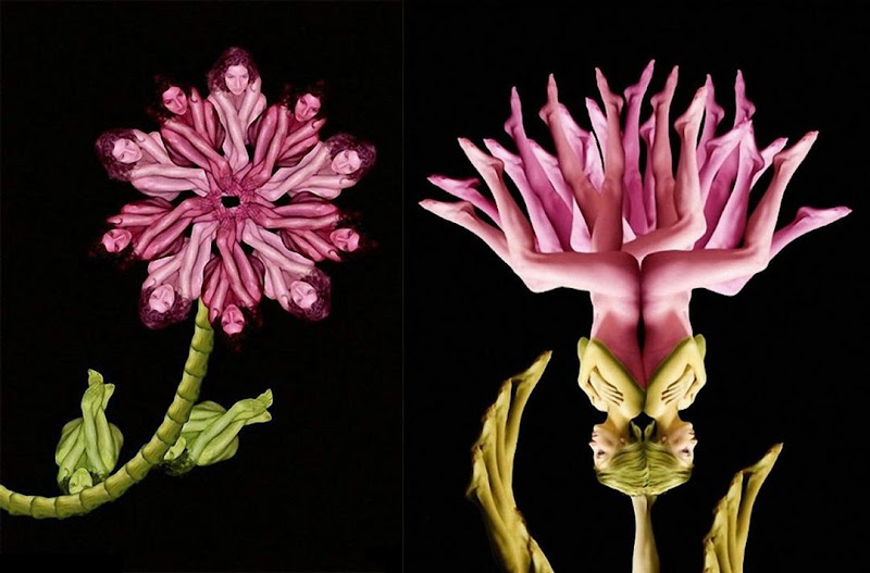 Simply Creative Human Flowers by Cecelia ber