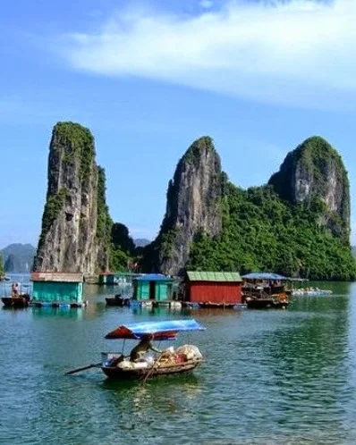 Hạ Long Bay popular travel destination,