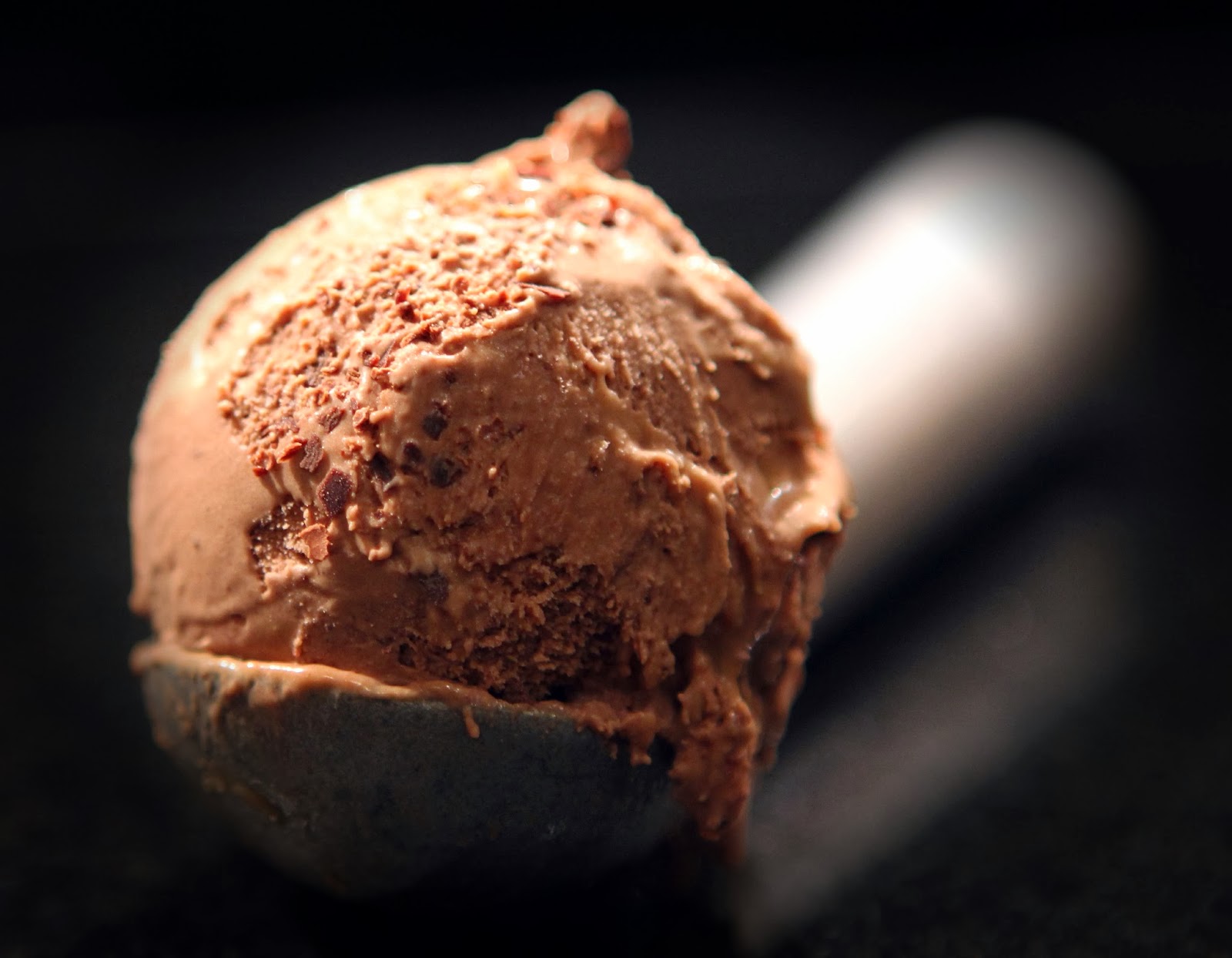 Gluten Free Alchemist ChocolateCaramel Ice Cream
