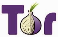 tor logo